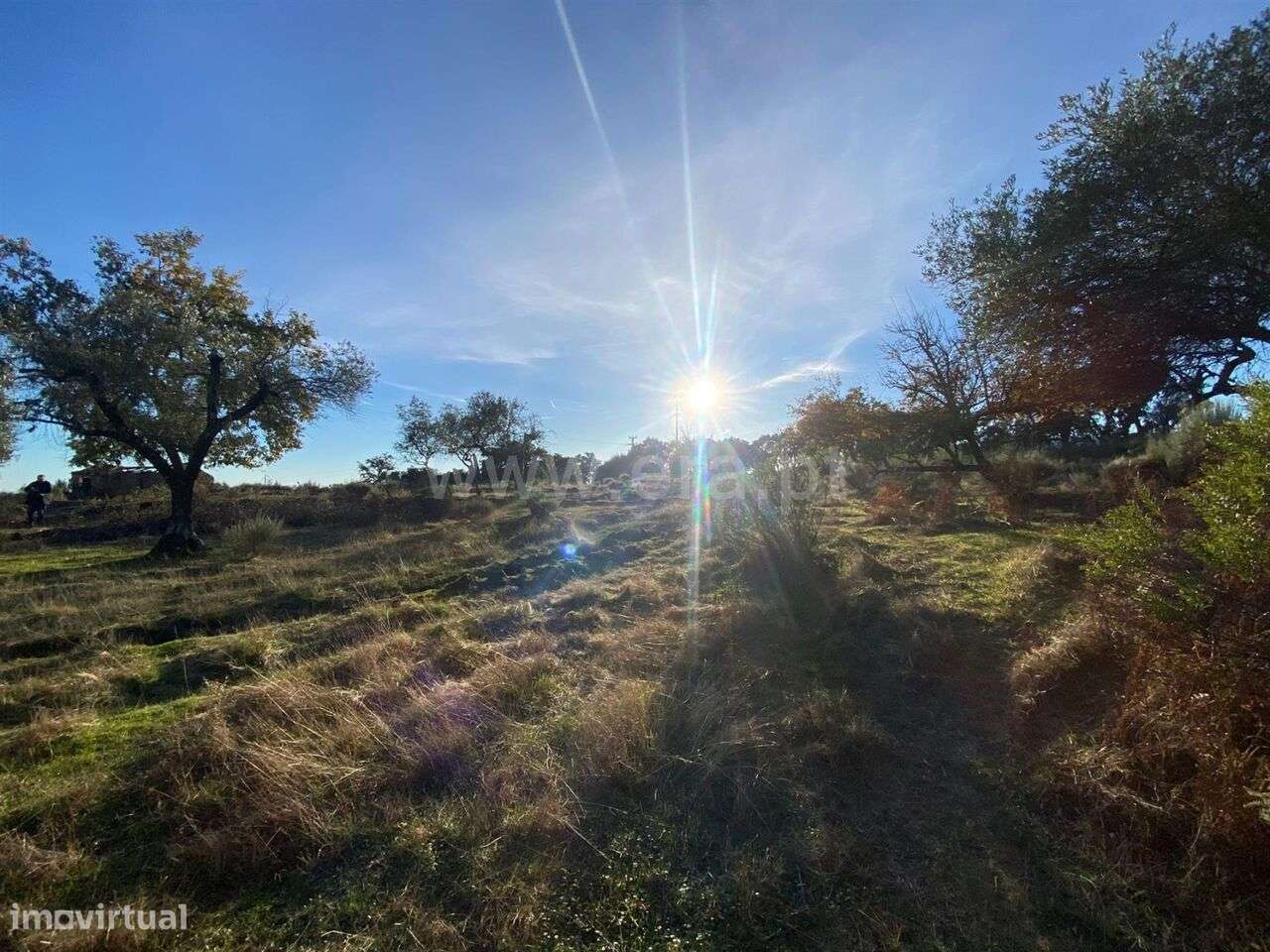 Quintinha T1 / Fundão, Vale Prazeres - Grande imagem: 5/9