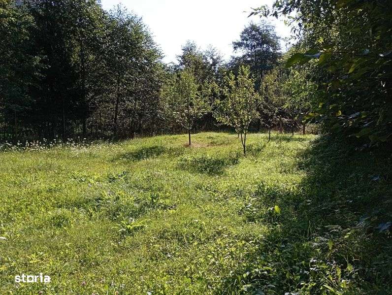 Teren +cladire de vanzare in Statiunea Voineasa - Imagine principală: 5/6