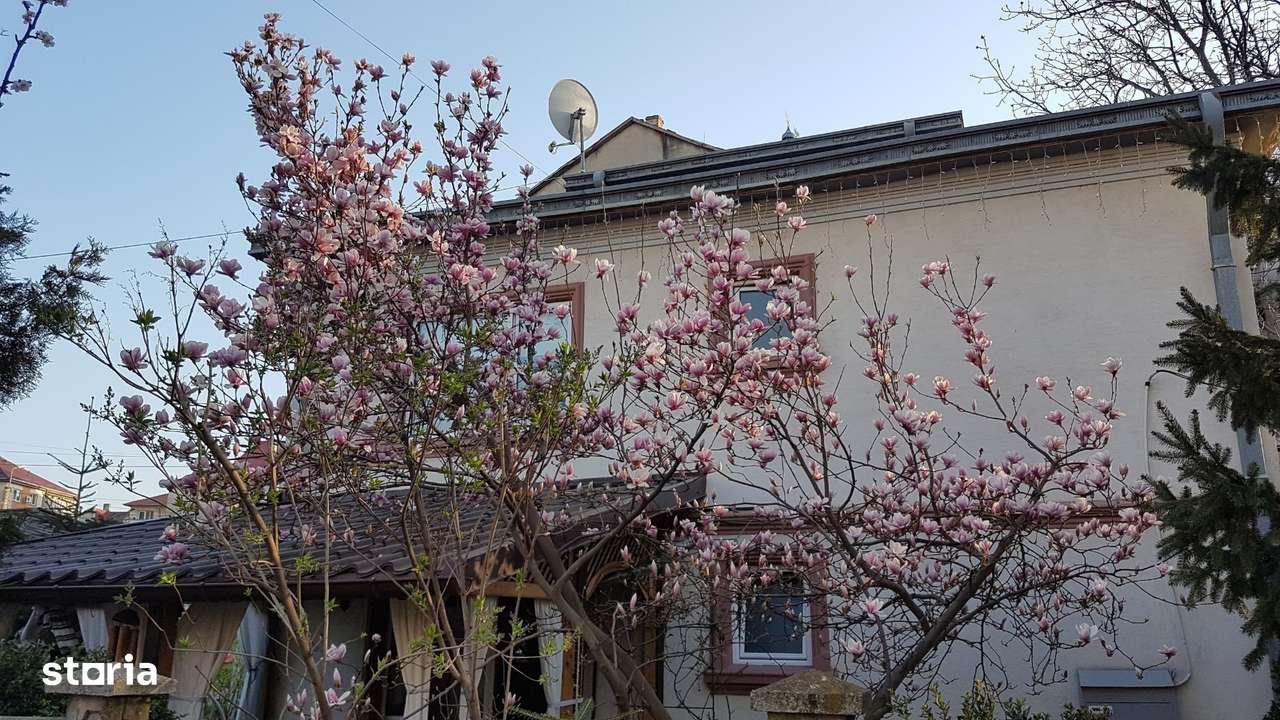 Vand 2 case în aceeași curte - Imagine principală: 5/7