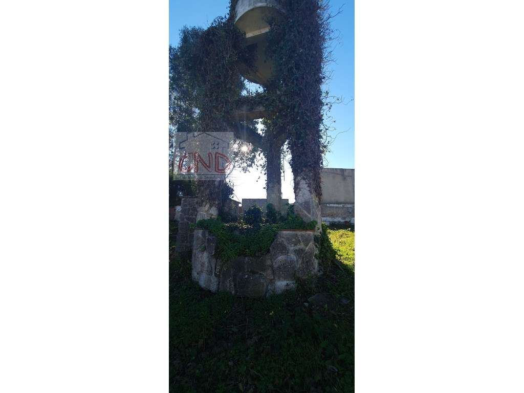 RINCHOA, Terreno com moradia em ruínas-7