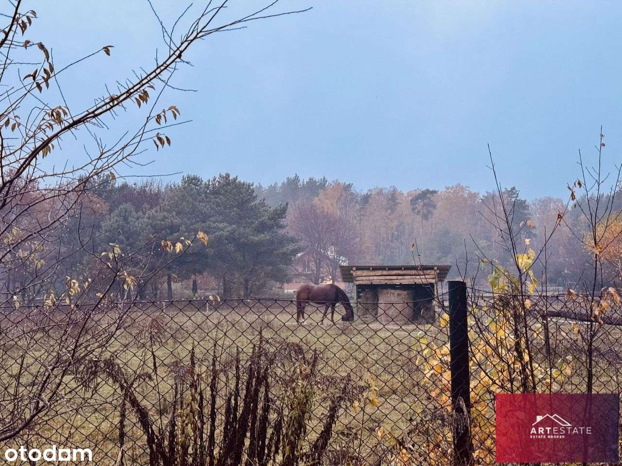 Działka Budowlana Słowak gm. Aleksandrów Ł.-19