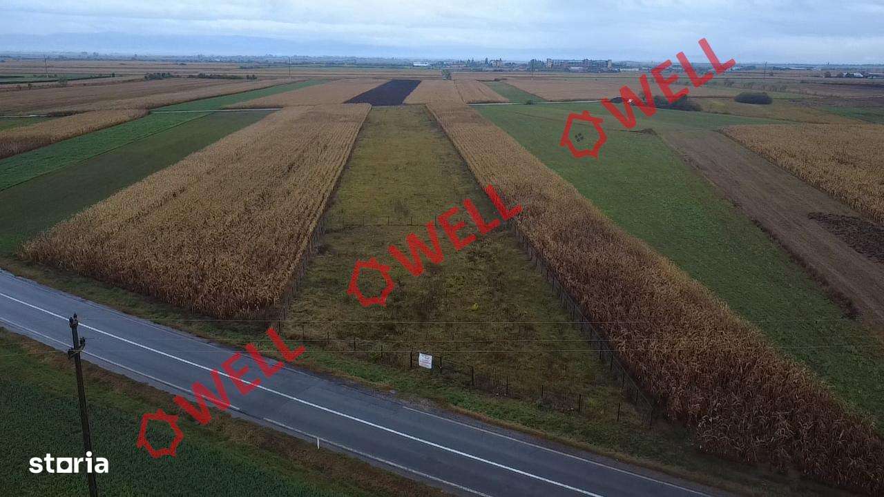 Teren extravilan de vânzare în Covasna! - Imagine principală: 4/12