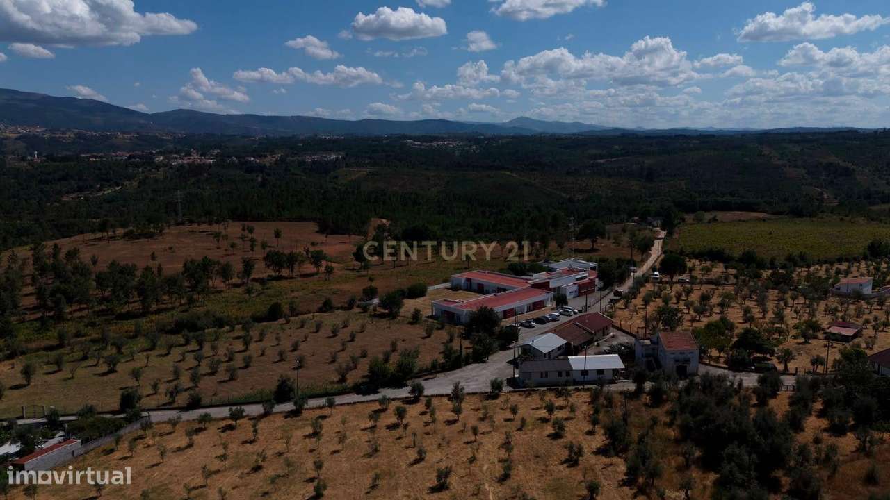 Exclusiva Oportunidade de Investimento:  Residência Geriátrica em Func-38