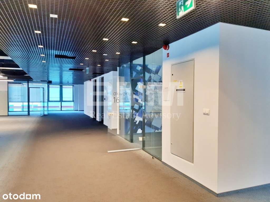 Prestiżowy lokal dla dużej firmy - Pełny obrazek: 2/13