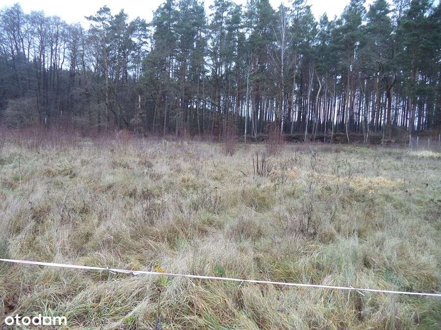 5 działek w Mirostowicach Dolnych - Pełny obrazek: 4/10