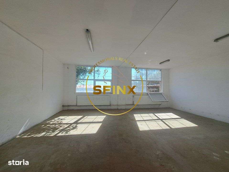De Vanzare Spatiu Industrial - Imagine principală: 4/11