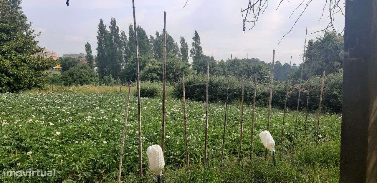 - Quinta c/casa 2 pisos , piscina e C/ terreno p/ novas construçõe-7