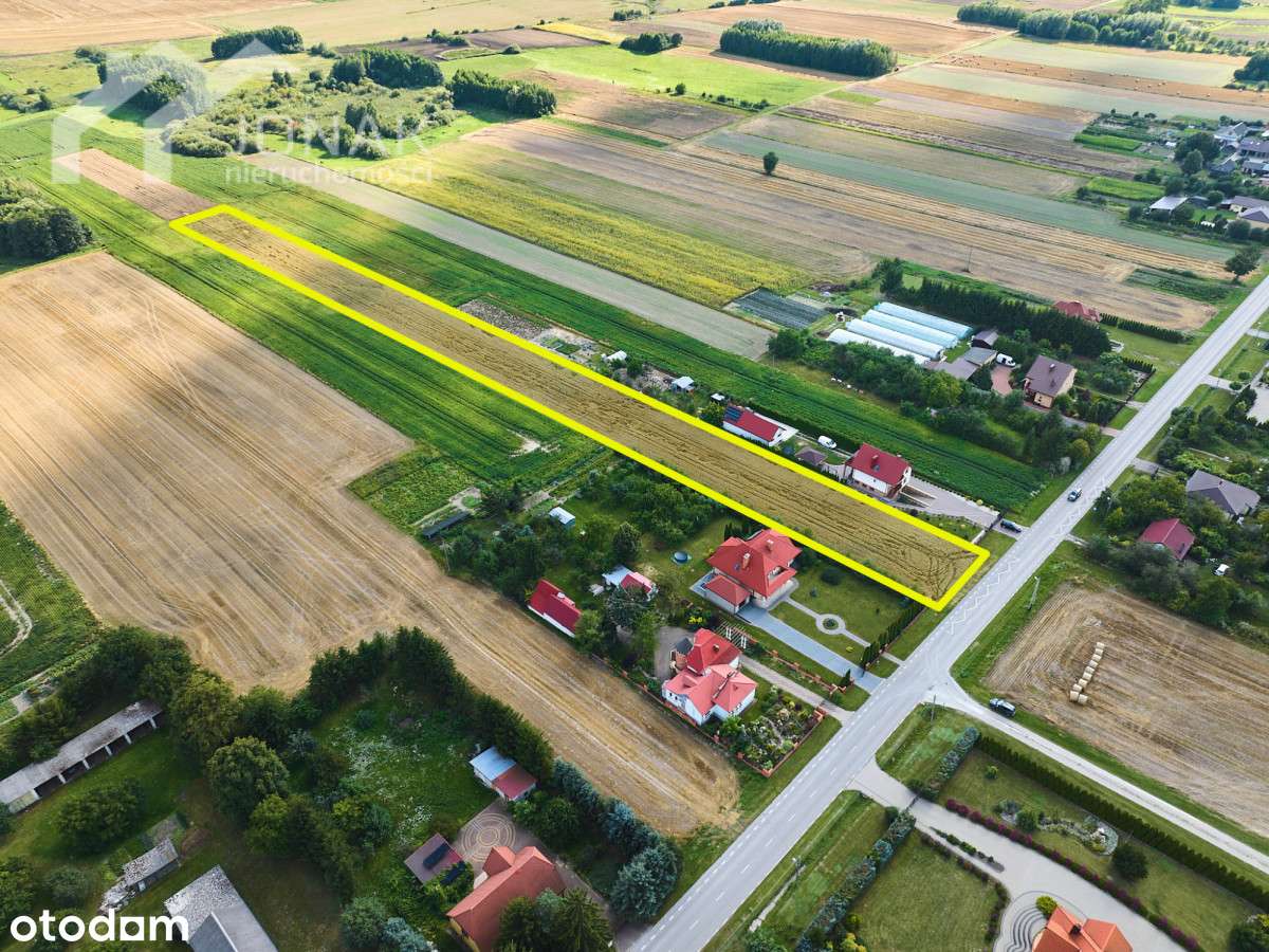 Wierzbica – duża działka 8010 m² z mediami - Pełny obrazek: 4/9