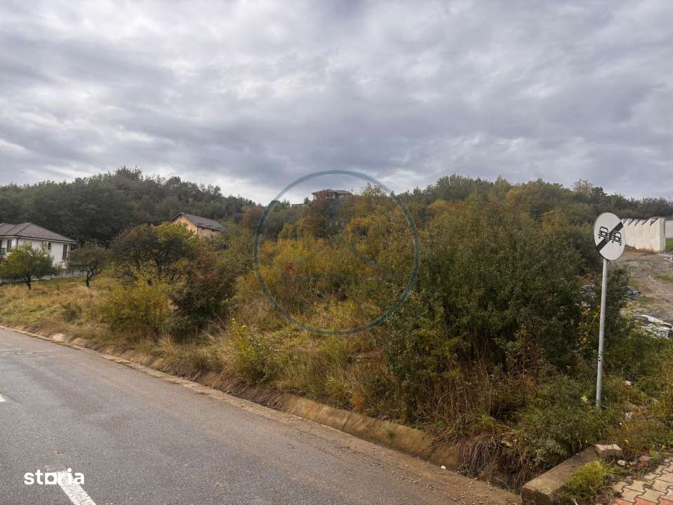 Teren Intravilan de vanzare, 2900 mp, zona Centura - Imagine principală: 5/5