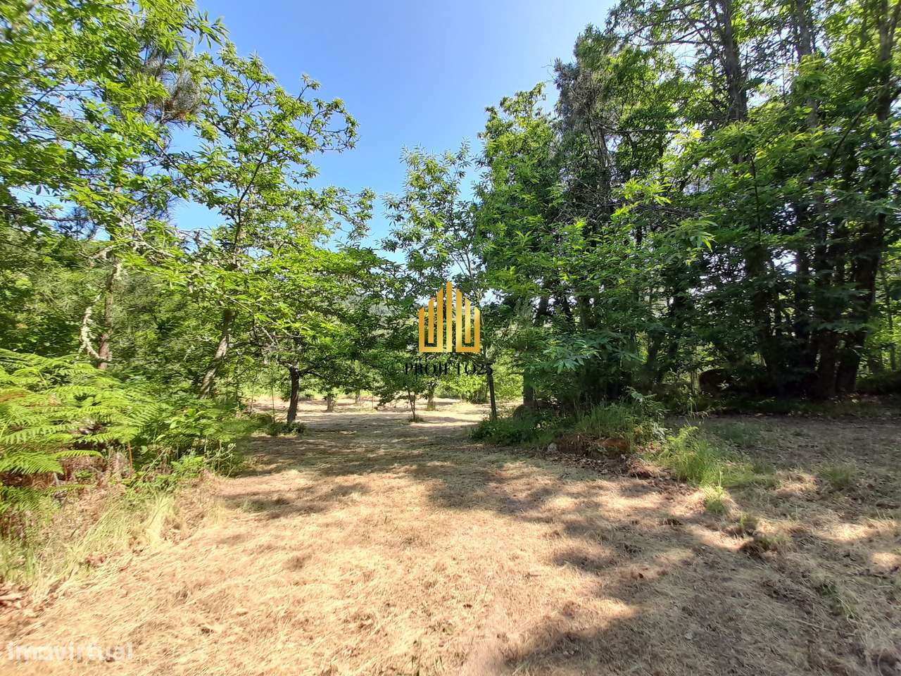 Terreno único com 21.500 m² Zona Vinhateira - Projeto Turístico-23