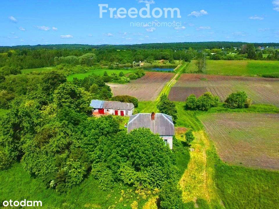 Siedlisko pod Chełmem z domem murowanym, 10 ha - Pełny obrazek: 4/15