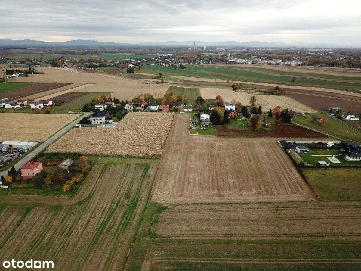 Działka budowlano-rolna Jastrzębie Zdrój - Pełny obrazek: 4/7