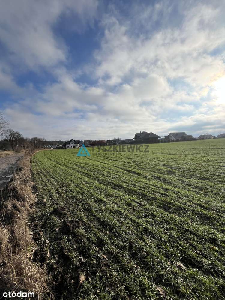 Działka bud. przy ścianie lasu w Wielkim Kliczu - Pełny obrazek: 5/20