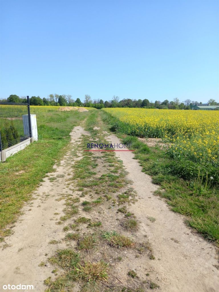 Duża dzialka budowlana 1912m2 uzbrojona, Strzegom