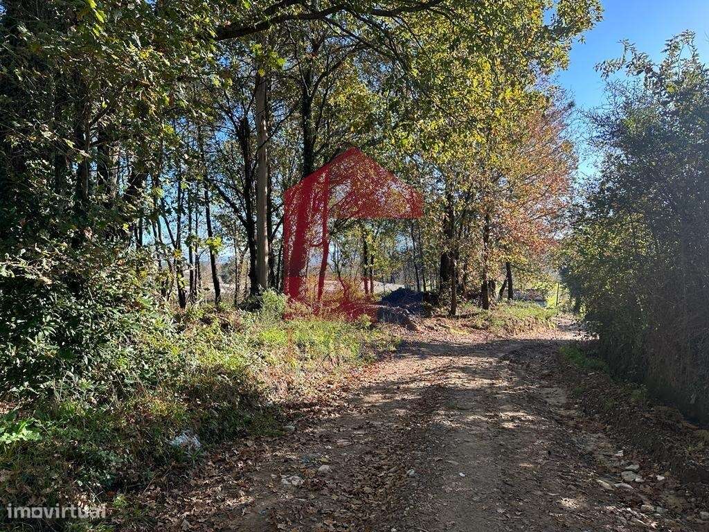 Terreno Industrial, Vila de Prado - Grande imagem: 5/12