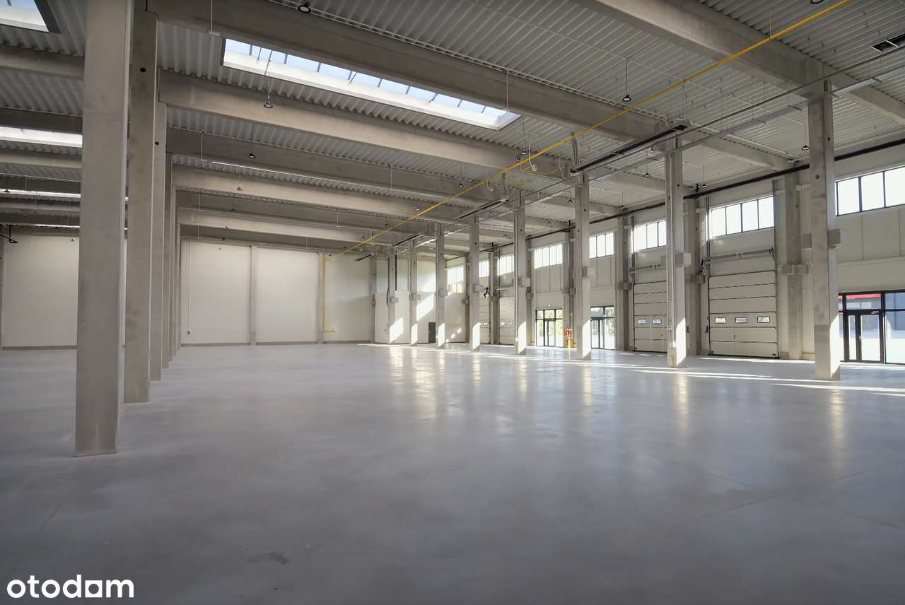 Magazyn/produkcja z biurem i showroomem – klasa A - Pełny obrazek: 4/5