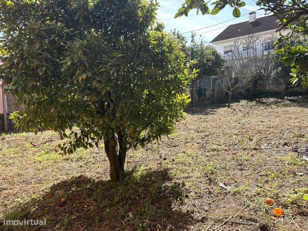 MORADIA PARA RECONSTRUÇÃO - GRANDE POTENCIAL DE VALORIZAÇÃO

Rua ...-16