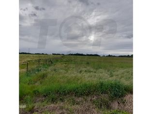 Terreno Agrícola - Foros da Charneca - 50.000€ - Grande imagem: 5/16