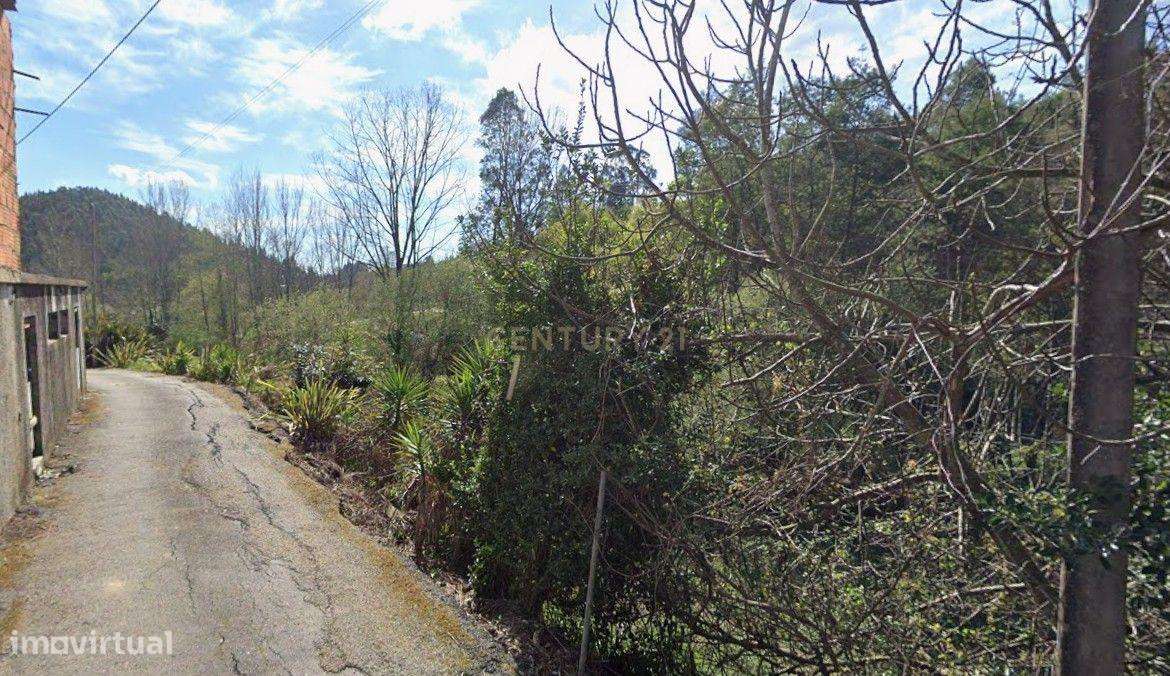 Terreno Rústico em Oliveira de Azeméis - Grande imagem: 4/5