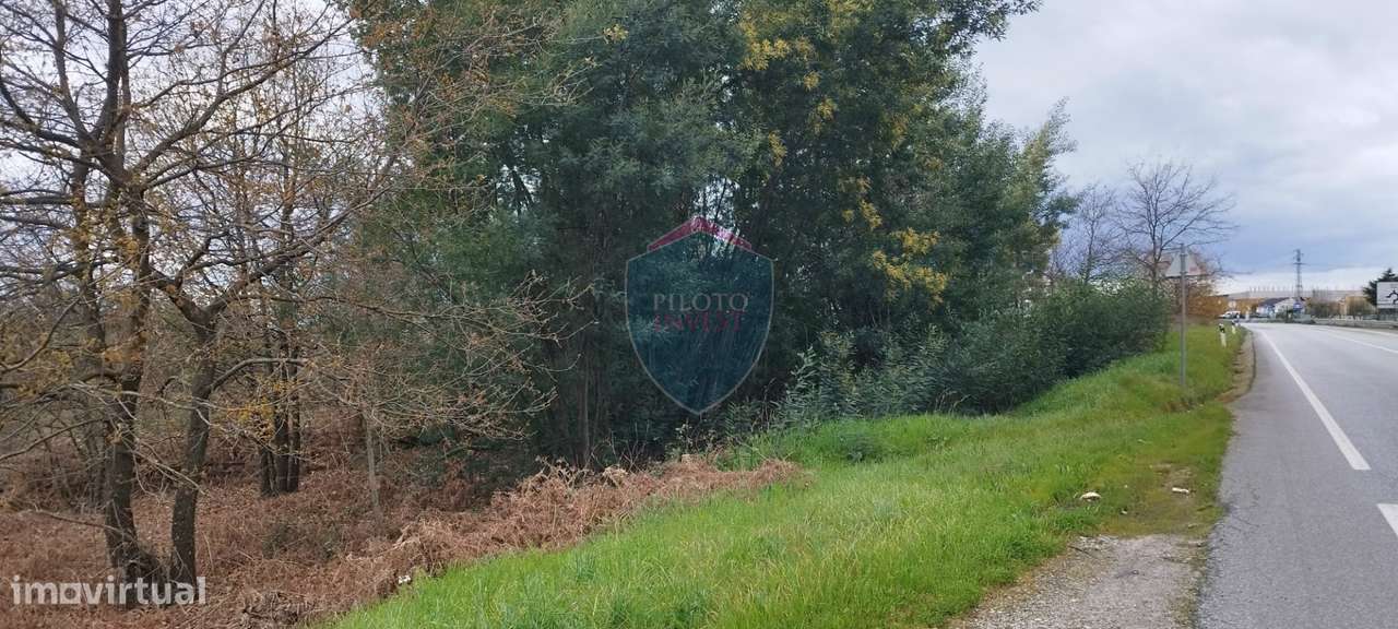 Terreno Rústico  Venda em Mundão,Viseu - Grande imagem: 3/4