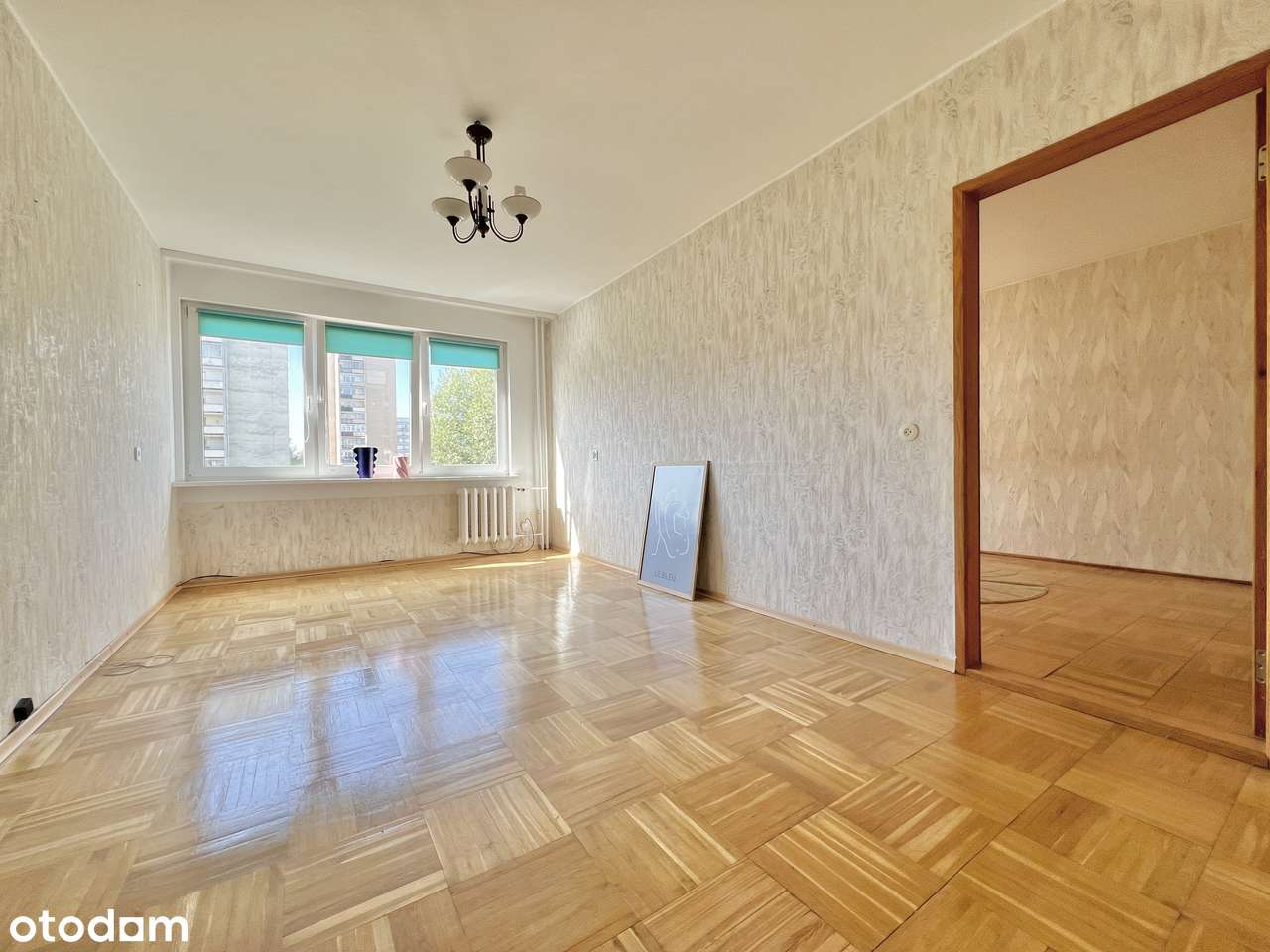 Przestronne, słoneczne mieszkanie, trzy pokoje, centrum 65 m 2-1