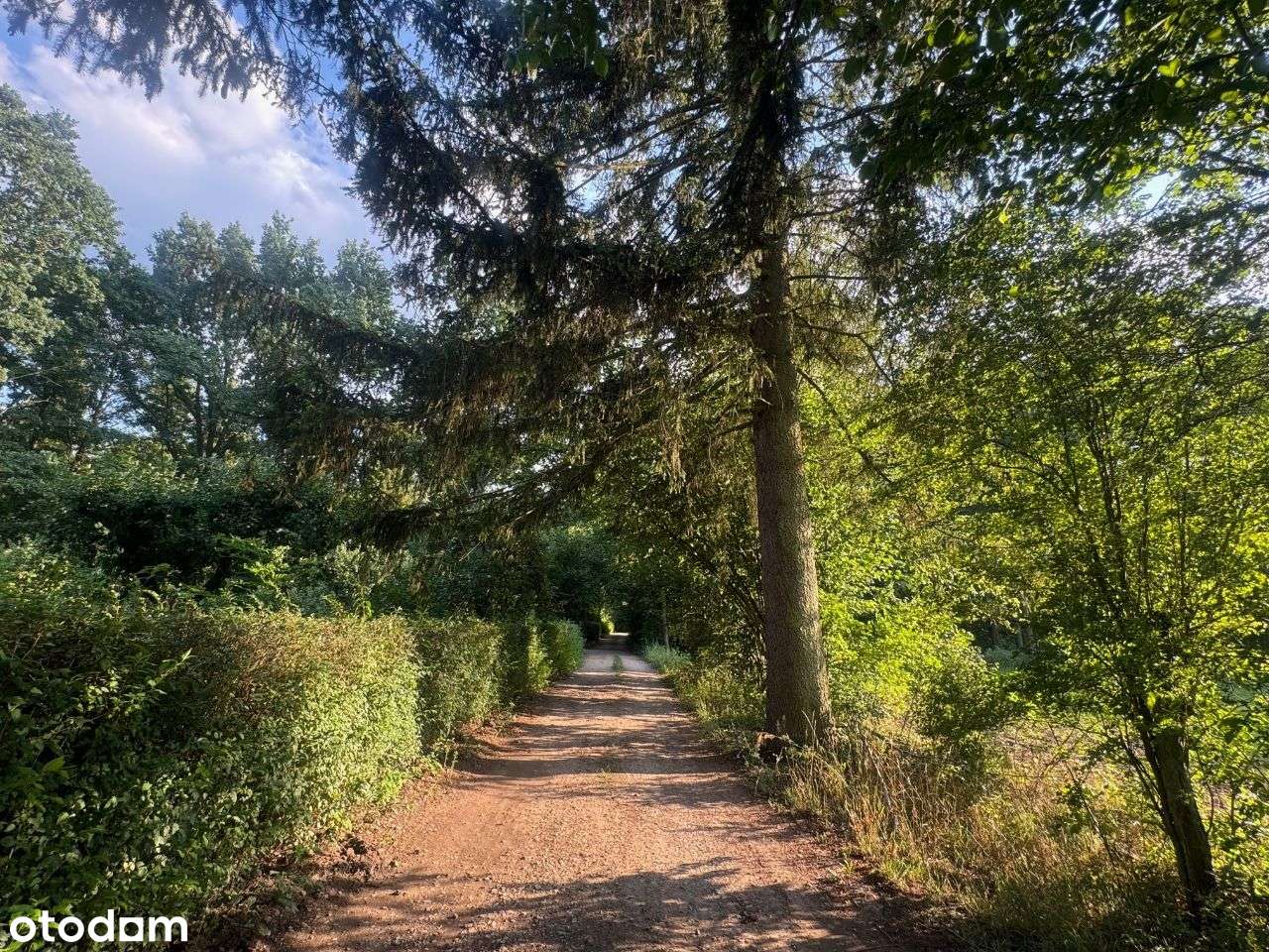 Adamów Wieś. Piękne działki budowlane! - Pełny obrazek: 5/8