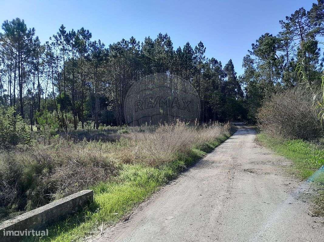 Terreno  para venda - Grande imagem: 4/6