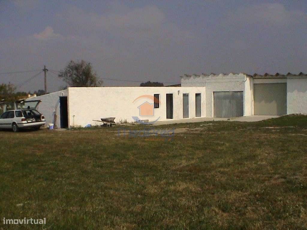 MTM6872 - Quintinha 11.500m2 | Palmela-19