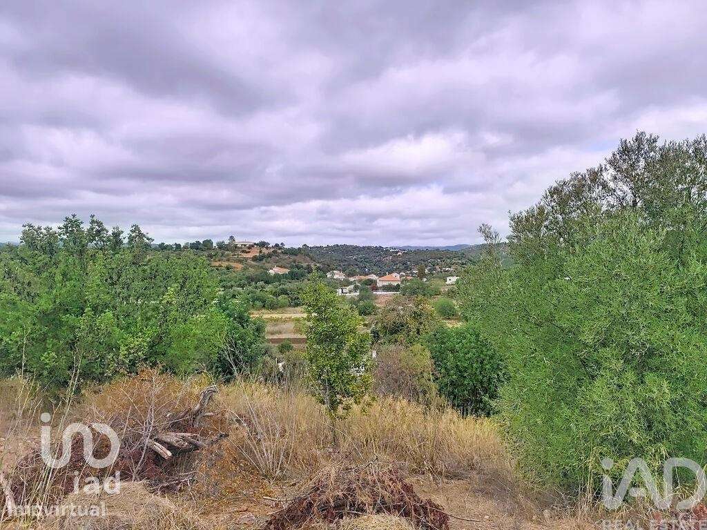 Casa / Villa em Querença, Tôr e Benafim de 352 m2 - Grande imagem: 4/11