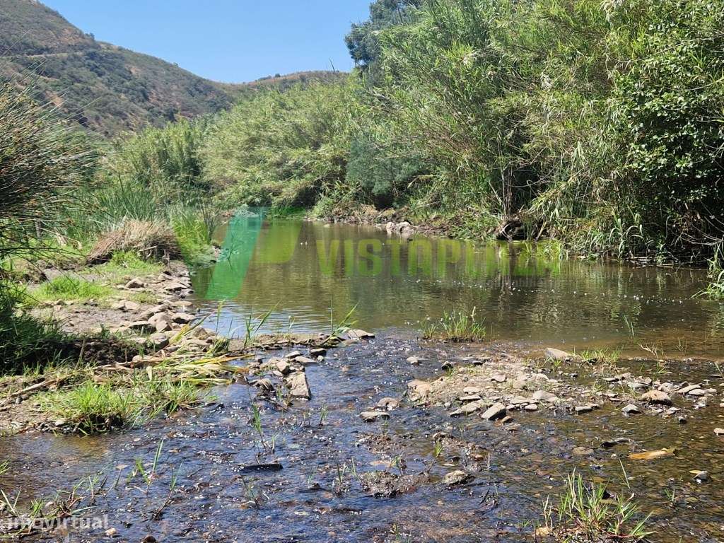 Terreno com Ruina 10 ha com Linda vista Sobre a Serra, Monchique. - Grande imagem: 5/19