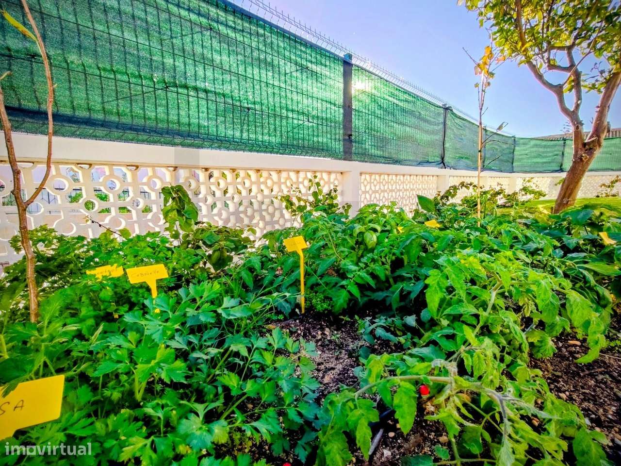 Moradia T4 Renovada em Pinheiros de Marim, Olhão-30