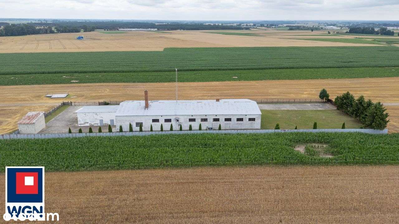 Budynek produkcyjny w branży mięsnej k. Grodziska Wlkp. - Pełny obrazek: 5/6