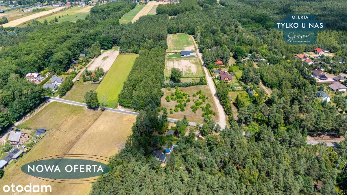 Leśna enklawa pod zabudowę - Pełny obrazek: 5/10