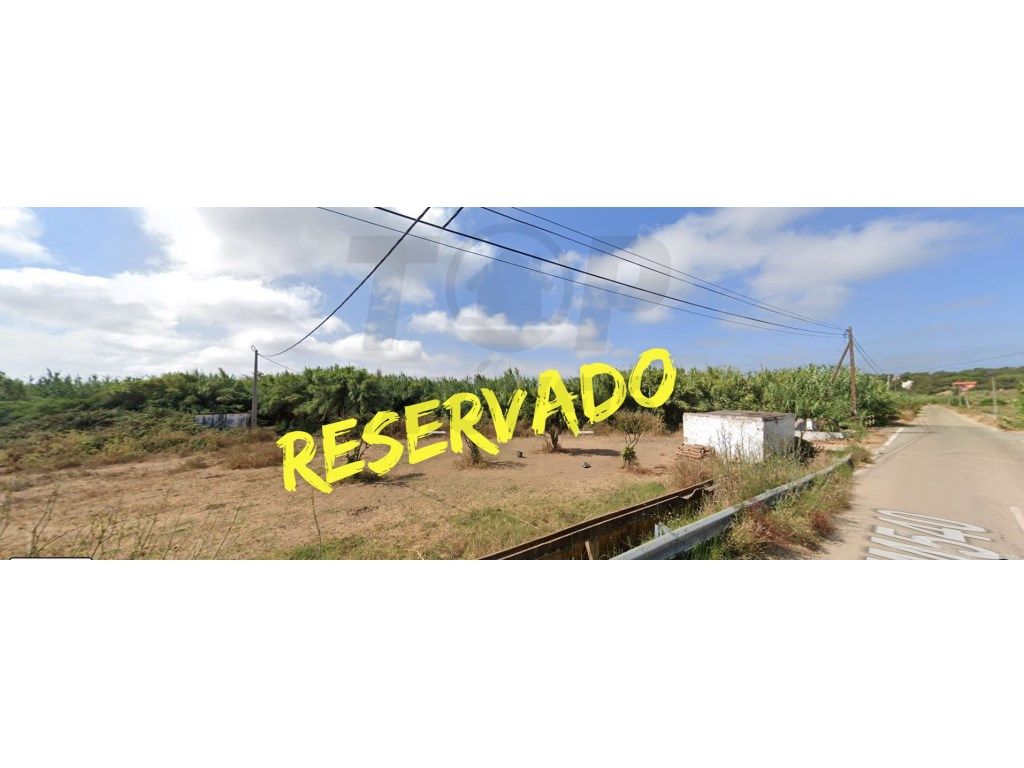 TERRENO RÚSTICO - 1800m2 - Almancil -66.800€