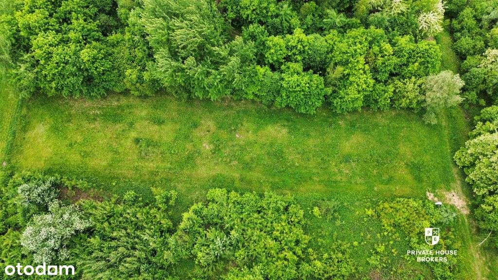 Na sprzedaż piękna widokowa, 17,3a w Zakrzowie - Pełny obrazek: 5/6