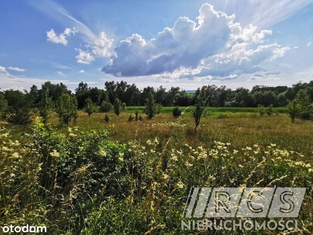 Atrakcyjna działka w pięknej okolicy - Pełny obrazek: 5/8