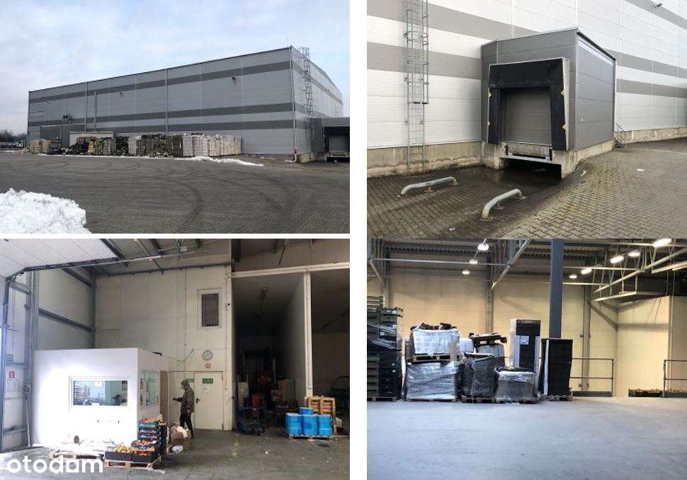 Zalesie przetwórnia owocowa hala magazyn SYNDYK przetarg OKAZJA-6
