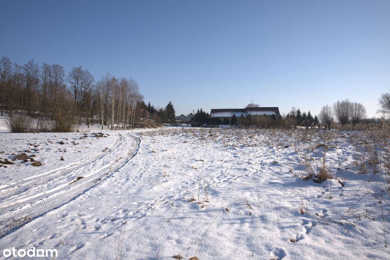 Działka 0,5399 ha - Jakuszowice, gm. Kazimierza Wielka, świętokrzyskie-4