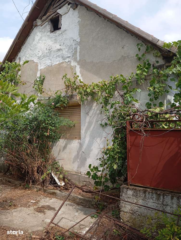 Casa de vanzare in Aldesti - Imagine principală: 4/14