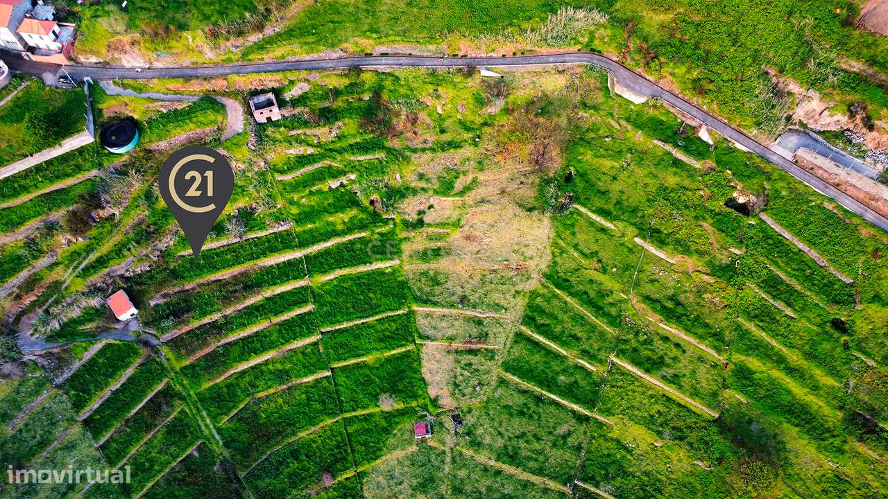 Terreno para Construção na Ponta do Pargo – 8.000 m² em Vale Privilegi - Grande imagem: 4/10