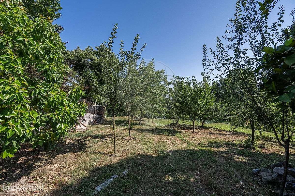 Moradia T4 com Terreno e Árvores de Fruto em Moure, Vila Verde-28