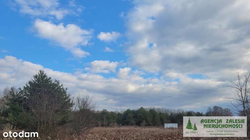 Czarny Las  za Zalesiem Górnym - działka budowlana-4