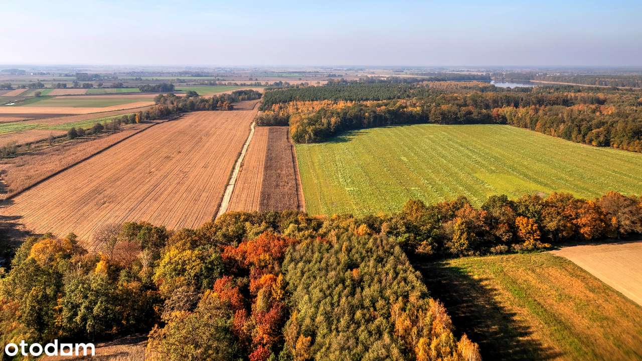 Działka inwestycyjna - hotel, dom opieki, centrum rehabilitacji, sport-9