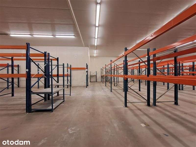 Magazyn z chłodniami w pobliżu autostrady A4. - Pełny obrazek: 2/18