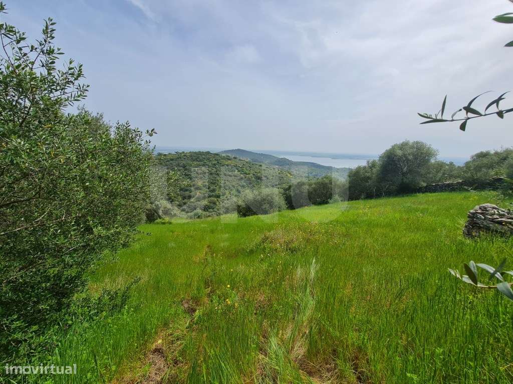 Terreno na Encosta do Castelo de Monsaraz-8