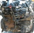 Motor FIAT STRADA Pickup (178_) 1.9 D | 12.00 -  Usado REF. 223A6.000 - 1