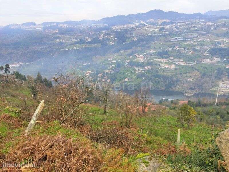 Terreno / Cinfães, Espadanedo - Grande imagem: 5/13