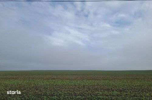 Teren extravilan Orbeasca, ID: R2836912-5