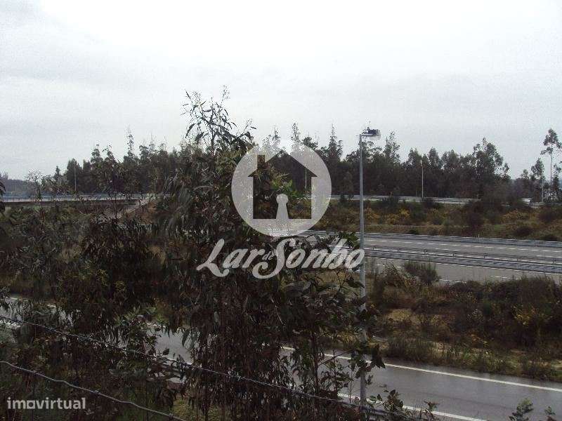 Terreno Florestal de 2.600m2 em Touguinha - Vila do Conde - Grande imagem: 2/4