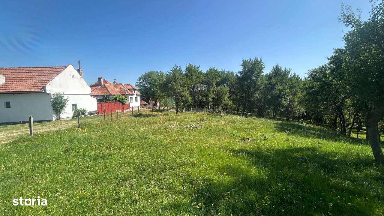 Teren Sohodol Vedere catre M-tii Bucegi-5